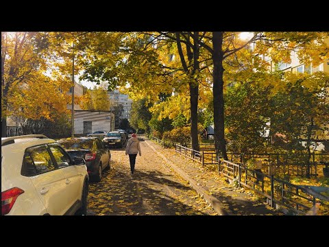 Видео: Просвещения - Озерки. Утро.Солнце