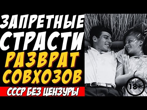 Видео: Что творилось на советских полях? Реальные истории комбайнёров без цензуры