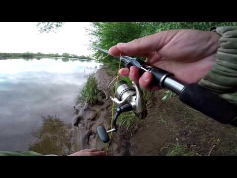 Видео: Язь на Жука