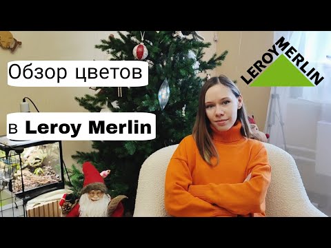 Видео: ОБЗОР растений в Леруа Мерлен | Ужасный завоз