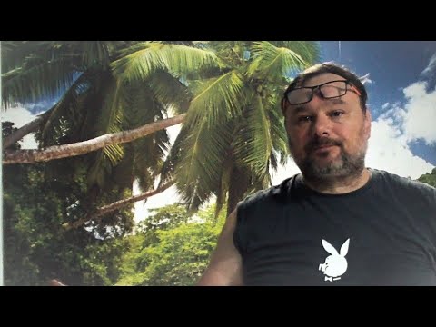 Видео: КАК ПРАВИЛЬНО КЛЕИТЬ ФОТООБОИ, ВЕСЬ ПРОЦЕСС ОТ А ДО Я С КОММЕНТАРИЯМИ, В РЕАЛЬНОМ ВРЕМЕНИ.