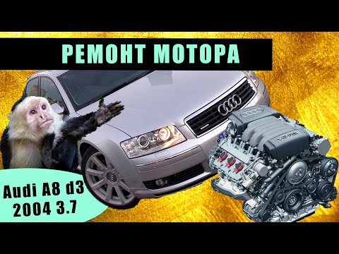 Видео: Audi A8  d3 2004 3.7 ремонт мотора