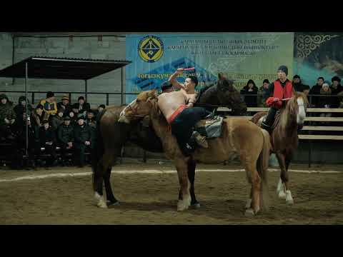 Видео: Аударыспақ +85кг Ересектер арасында