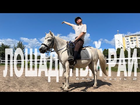 Видео: КОНКУРНЫЙ ПОНИ И ПОЛЯ | КОННЫЙ БЛОГ 2