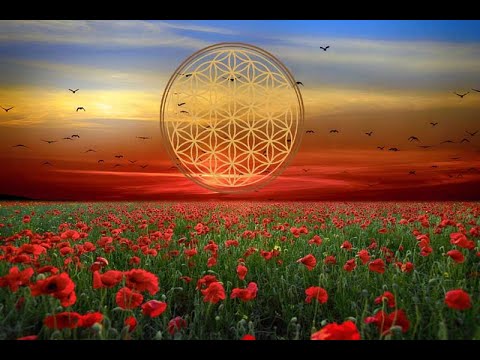 Видео: ✨ МИСИЯТА  на ЖИВОТА ви✨Какво трябва да знаеш (канализация)✨