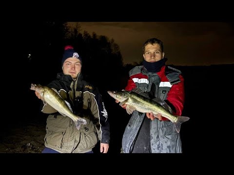 Видео: Нашли стаю СУДАКА на вечерней зорьке!