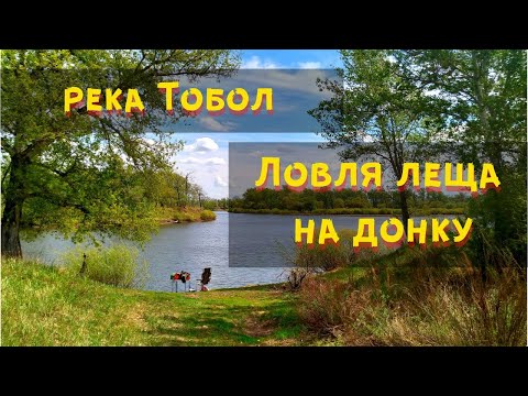 Видео: Рыбалка на донку судака и леща / река Тобол / Весенняя рыбалка с берега / Отдых нга берегу реки