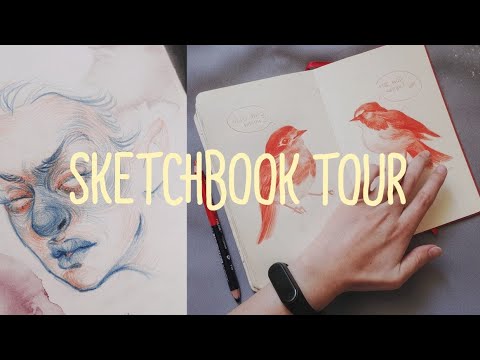 Видео: ОБЗОР СКЕТЧБУКА | SKETCHBOOCK TOUR #2