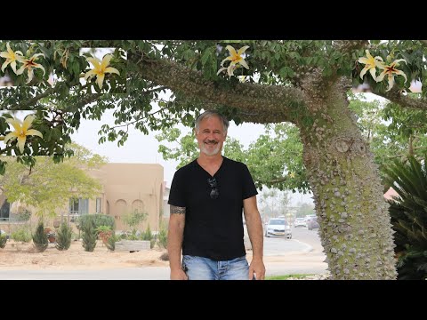 Видео: ЭКЗОТИЧЕСКИЕ РАСТЕНИЯ ИЗРАИЛЯ. EXOTIC PLANTS OF ISRAEL.