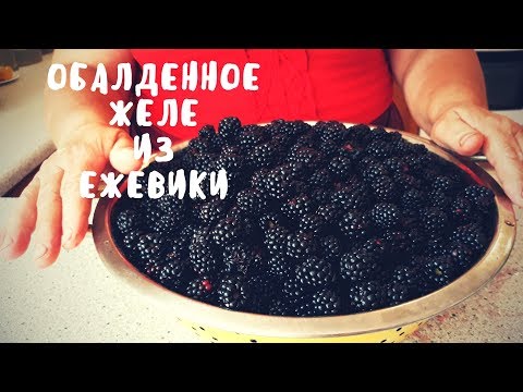 Видео: ОБАЛДЕННОЕ ЖЕЛЕ ИЗ ЕЖЕВИКИ! Простой рецепт. Мой опыт.