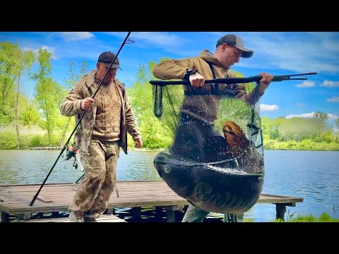 Видео: БАТЯ КОРОП 25кг СПІЙМАНИЙ! Від такого волоси дибом. Ловля коропа