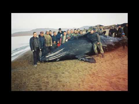 Видео: Энурмино