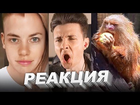 Видео: ХЕСУС СМОТРИТ ТИК ТОК С БАНАМИ | РЕАКЦИЯ