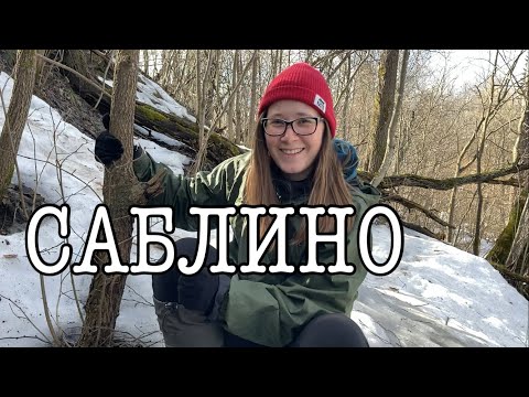 Видео: САБЛИНО: однодневный поход вдоль рек Саблинки и Тосны. Водопады, половодье, броды, пещеры