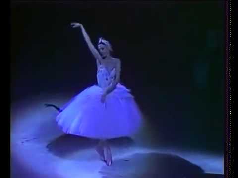 Видео: Майя Плисецкая  "Умирающий лебедь"