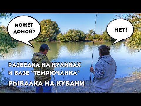 Видео: Разведали Кулики / Посмотрели пруд на "Темрючанке" / Остались рыбачить на Кубани