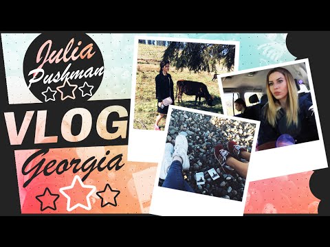 Видео: ◈ VLOG GEORGIA || Главное – не победа, а участие!