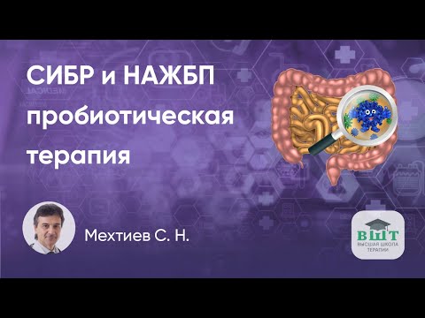 Видео: Подходы к пробиотической терапии у пациента с СИБР и НЖБП