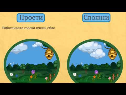 Видео: Видове изречения по състав - Български език 4 клас | academico
