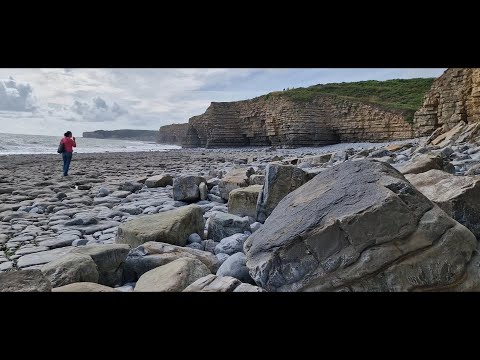 Видео: Ллантвит, крупнейший охотник за окаменелостями и подготовка ногтей на ногах к окаменелостям