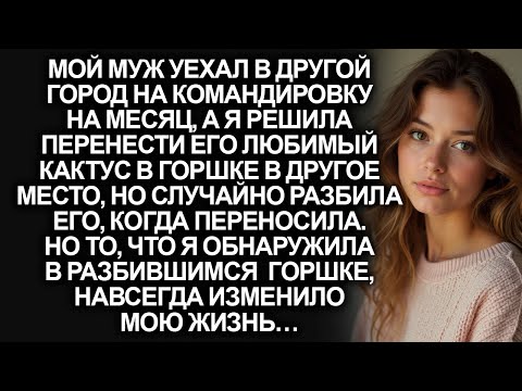 Видео: Случайно разбив горшок с кактусом мужа я обнаружила в горшке то, что изменило мою жизнь…