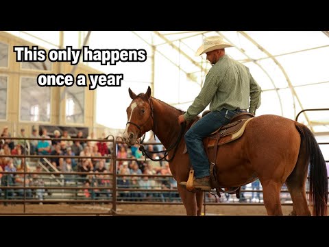 Видео: Это было невероятно!