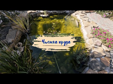 Видео: Чистка пруда