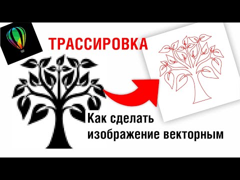 Видео: Трассировка. Как сделать изображение векторным? Какие картинки подойдут оптимально? Corel Draw