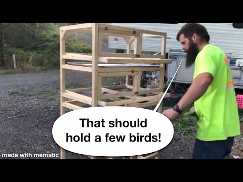 Видео: Сборка клетки для перепелов @CoturnixCorner Stacking Quail Hutch I
