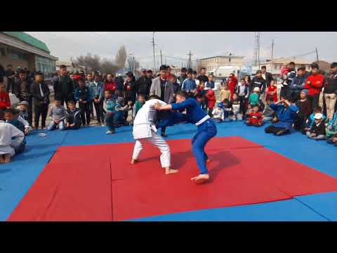 Видео: Туймекент жарыс