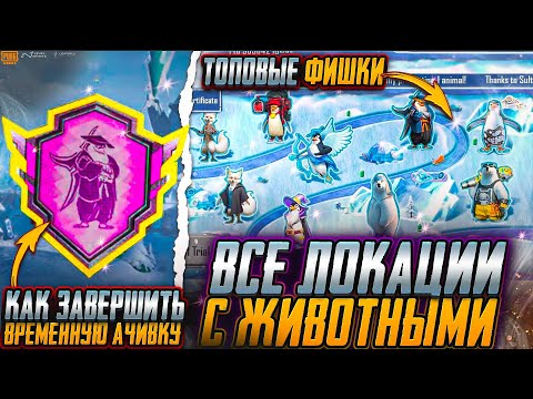 Видео: ГДЕ НАЙТИ ВСЕХ ЖИВОТНЫХ В ПАБГ! ВРЕМЕННОЕ ДОСТИЖЕНИЕ В PUBG MOBILE! КАК ВЫПОЛНИТЬ ДОСТИЖЕНИЕ ПУБГ