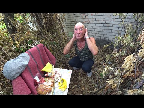 Видео: ЖИВУ В ЛЕСУ В ШАЛАШЕ ВОЛОДЯ С НАМИ