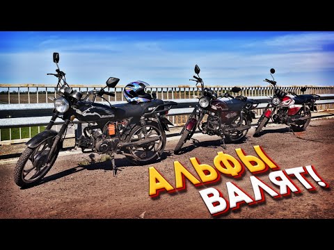 Видео: 😍 АЛЬФЫ ВАЛЯТ! Покатушка на мопедах АЛЬФА! СЪЕЗДИЛИ В СОСЕДНЕЕ СЕЛО НА АЛЬФАХ!