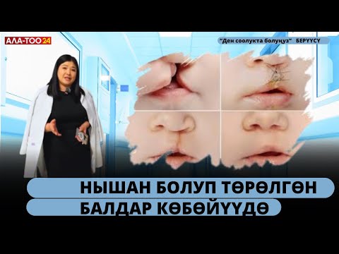 Видео: Нышан болуп төрөлгөн балдар көбөйүүдө