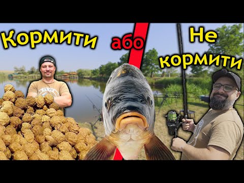 Видео: Годувати чи ні ? ● Вічне питання рибаків ● RoMaX Fishing ●