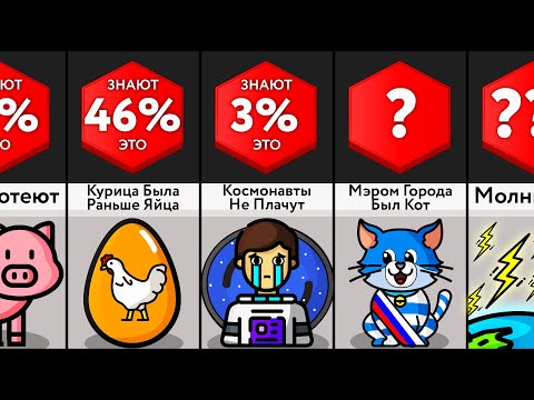 Видео: Спорим, Ты Этого Не Знал?!