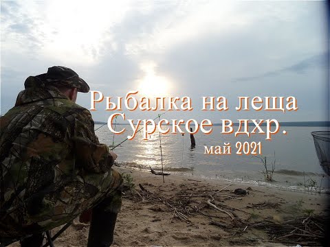 Видео: Рыбалка на леща в мае-Рыбалка на Сурском водохранилище- Лещ на спиннинг