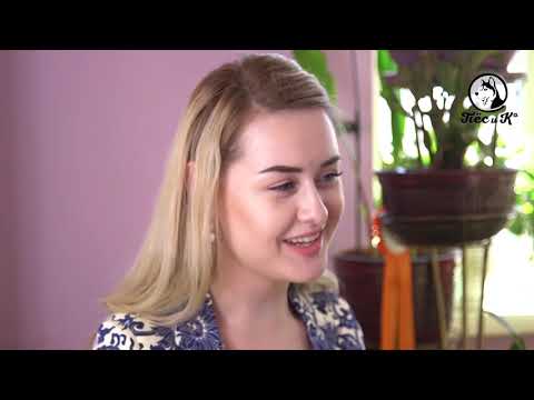 Видео: Такая порода  Зенненхунд