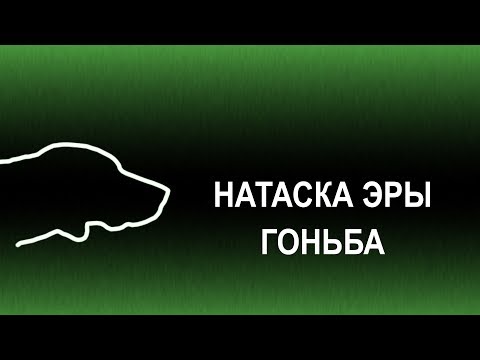 Видео: Натаска Эры. Гоньба. Охота на охоту.