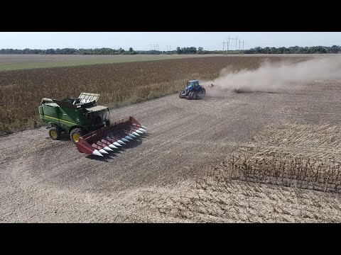 Видео: Началась уборка Подсолнуха что делать с палкой,привезли хорш культра  на демонстрацию 👍🏻👍🏻👍🏻💪