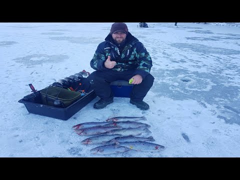 Видео: Подмосковная обалденная (платная) рыбалка! Зимняя рыбалка на форель.