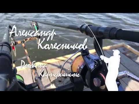 Видео: Daiwa Black Widow 12ft 3.5lbs или Carp Pro Spheros  12ft 3.5lb. Сравнение бюджетных карповых удилищ.