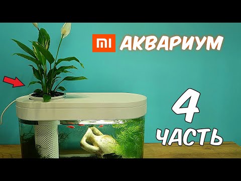 Видео: Аквариум XIAOMI. Часть 4. Посадил Цветок. Реакция Муравьев на корм для рыбок.