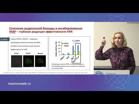 Видео: PARP-ингибиторы в лечении мКРРПЖ: меняющаяся парадигма