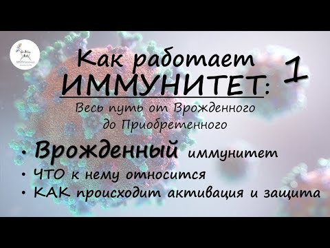 Видео: Всё про врождённый иммунитет