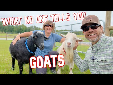 Видео: Не покупайте коз! (10 вещей, которые нужно знать о козах)