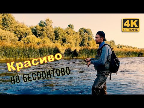 Видео: Рыбалка на спиннинг с берега  Красиво, но беспонтово