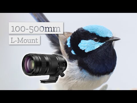 Видео: Телеобъектив 100–500 мм для крепления L от LUMIX