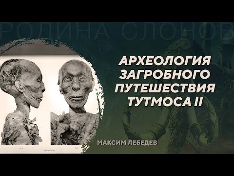 Видео: Открытие новой гробницы египетского фараона - Тутмоса II. Максим Лебедев. Родина слонов №407