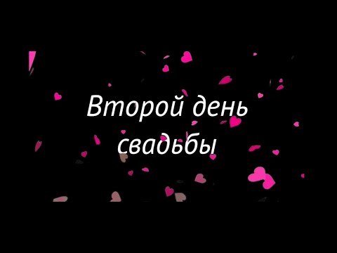 Видео: Цыганская свадьба Панча и Латвина. День 2.